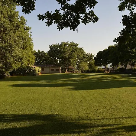 Apartment Pulcianese Corsano (Tuscany)